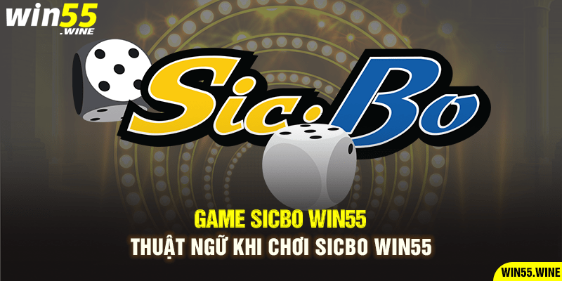 Thuật ngữ khi chơi Sicbo Win55
