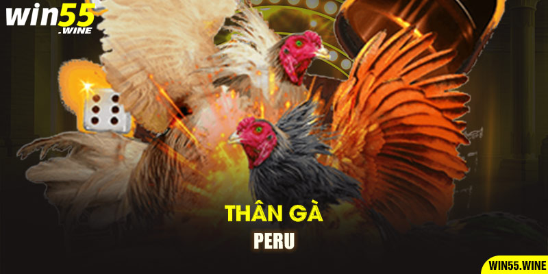 Thân gà Peru